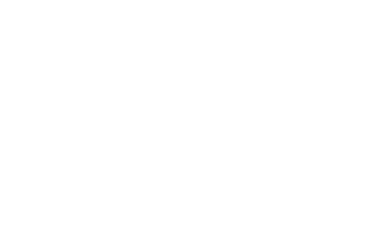 Logo Light
